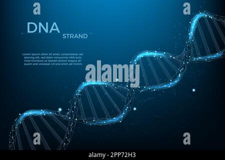 3D dna-Drahtmodell, Bannervorlage für die Gesundheitsmedizin. Polygon-Helix-Hologramm, Innovationsbiologie oder genetische Zellen, futuristisches Chromosomenmolekül isoliert auf dunkelblauem Hintergrund. Vektorgen-Hintergrund Stock Vektor