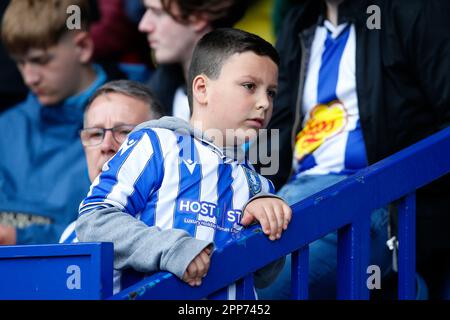 Sheffield, Großbritannien. 22. April 2023. Ein Fan von Sheffield Wednesday beim Sky Bet League 1-Spiel Sheffield Wednesday vs Exeter City in Hillsborough, Sheffield, Großbritannien, 22. April 2023 (Foto von Ben Early/News Images) in Sheffield, Großbritannien, am 4./22. April 2023. (Foto: Ben Early/News Images/Sipa USA) Guthaben: SIPA USA/Alamy Live News Stockfoto