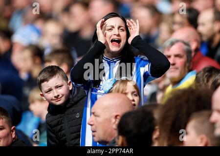 Sheffield, Großbritannien. 22. April 2023. Ein Fan von Sheffield Wednesday beim Sky Bet League 1-Spiel Sheffield Wednesday vs Exeter City in Hillsborough, Sheffield, Großbritannien, 22. April 2023 (Foto von Ben Early/News Images) in Sheffield, Großbritannien, am 4./22. April 2023. (Foto: Ben Early/News Images/Sipa USA) Guthaben: SIPA USA/Alamy Live News Stockfoto