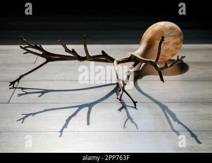 Heruntergefallene Glasvase mit trockenem, leblosem Ast darin. Vase liegt auf dem Boden mit Tageslicht, das durch das darauf fallende Fenster entsteht. Stockfoto