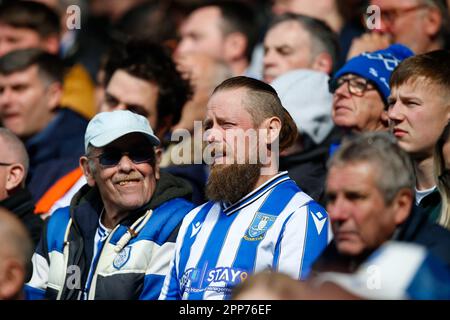 Sheffield, Großbritannien. 22. April 2023. Ein Fan von Sheffield Wednesday beim Sky Bet League 1-Spiel Sheffield Wednesday vs Exeter City in Hillsborough, Sheffield, Großbritannien, 22. April 2023 (Foto von Ben Early/News Images) in Sheffield, Großbritannien, am 4./22. April 2023. (Foto: Ben Early/News Images/Sipa USA) Guthaben: SIPA USA/Alamy Live News Stockfoto