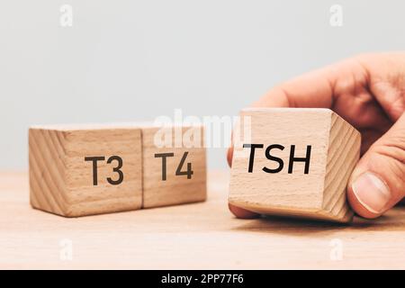 TSH, Diagnose von Schilddrüsenerkrankungen, medizinische Untersuchung von T3 und T4, Produktion und Sekretion von Hormonen, Hypothyreose oder Hyperthyreose, Holz Stockfoto