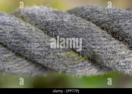 Seil aus natürlicher grober Sisalfaser. . Hochwertiges Foto Stockfoto