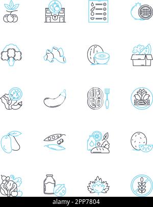 Lineare Symbole für organische Erzeugnisse. Frisch, nahrhaft, nachhaltig, chemikalienfrei, gesund, Lokale, authentische Linienvektoren und Konzeptschilder Stock Vektor