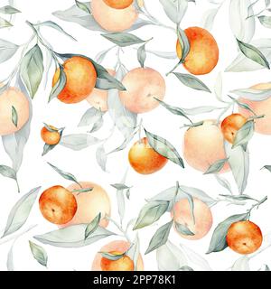 Nahtlose, wässrige Zitrusfrüchte und Blätter. Grüne Blätter und Orangenfrüchte auf weißem Hintergrund. Nahtlose Aquarelle von Mandarinen und Orangen Stockfoto