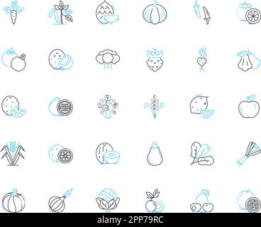 Linearer Symbolsatz für Eckladen. Lebensmittel, Bequemlichkeit, Chips, Süßigkeiten, Bier, Zigaretten, Imbisse, Linienvektor und Konzeptschilder. Lotterie, Magazin, Limonade Stock Vektor