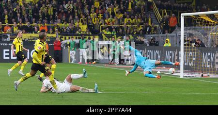 Dortmund, Deutschland. 22. April 2023. firo : 04/22/2023, Fußball, 1. Liga, 1. Bundesliga, Staffel 2022/2023, BVB, Borussia Dortmund - Eintracht Frankfurt Ziel 4: 0 für BVB, Donyell MALEN/dpa/Alamy Live News Stockfoto