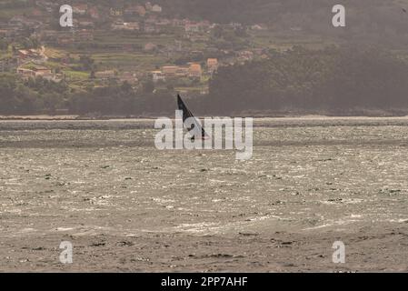 Sanxenxo, pontevedra, Spanien. april 22., 2023. Die Boote und Besatzung der Segelboote, die an der ersten spanischen Cup-Regatta teilgenommen haben. Mit Ausnahme der Bribon, das Boot, das von König Juan Carlos I. gefangen gehalten wird Kredit: xan gasalla / alamy Live News. Stockfoto