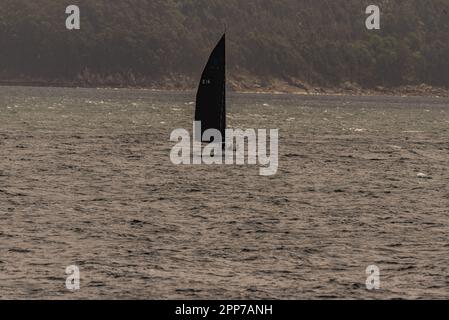 Sanxenxo, pontevedra, Spanien. april 22., 2023. Die Boote und Besatzung der Segelboote, die an der ersten spanischen Cup-Regatta teilgenommen haben. Mit Ausnahme der Bribon, das Boot, das von König Juan Carlos I. gefangen gehalten wird Kredit: xan gasalla / alamy Live News. Stockfoto