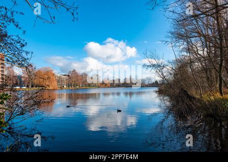 Malerischer Blick auf den See „Petteplas“ in der Stadt Waddinxveen, Niederlande an einem sonnigen Wintertag Stockfoto