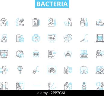 Lineare Symbole für Bakterien eingestellt. Mikroben, Krankheitserreger, Keime, Prokaryoten, Virulenz, Antibiotika, Plasmidenlinienvektor und Konzeptzeichen. Pathogenese Stock Vektor