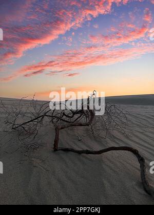 Binnensee, Katar - 10. November 2023: Wunderschöner Sonnenuntergang im Binnenmeer. Die Wüste von Doha Stockfoto