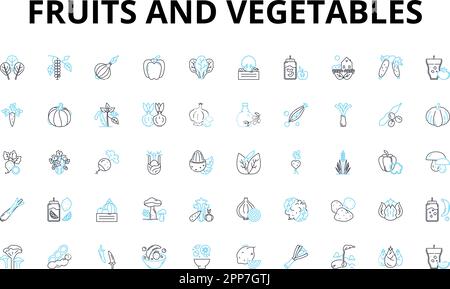 Lineare Symbole für Obst und Gemüse eingestellt. Äpfel, Orangen, Bananen, Kiwis, Trauben, Vektorsymbole für Birnen, Ananas und Linienkonzepte. Wassermelone Stock Vektor