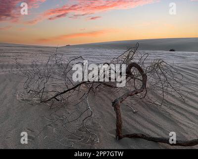 Binnensee, Katar - 10. November 2023: Wunderschöner Sonnenuntergang im Binnenmeer. Die Wüste von Doha Stockfoto