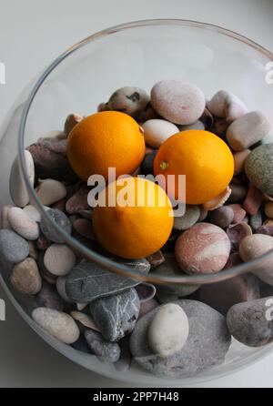 Runde Kugel mit Meeresfelsen und saftigen ganzen Zitronenfrüchten auf Einem Fensterbrett detailliertes Stockfoto Stockfoto