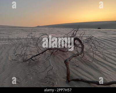 Binnensee, Katar - 10. November 2023: Wunderschöner Sonnenuntergang im Binnenmeer. Die Wüste von Doha Stockfoto