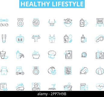 Hunde Balance Kissen - Balancierpad Für Fitness & Physiotherapie