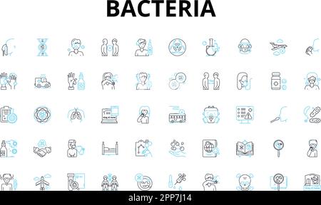 Lineare Symbole für Bakterien eingestellt. Mikroben, Krankheitserreger, Keime, Prokaryoten, Virulenz, Antibiotika, Plasmide Vektorsymbole und Linienkonzepte Stock Vektor