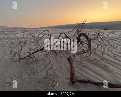 Binnensee, Katar - 10. November 2023: Wunderschöner Sonnenuntergang im Binnenmeer. Die Wüste von Doha Stockfoto