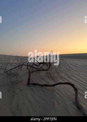 Binnensee, Katar - 10. November 2023: Wunderschöner Sonnenuntergang im Binnenmeer. Die Wüste von Doha Stockfoto