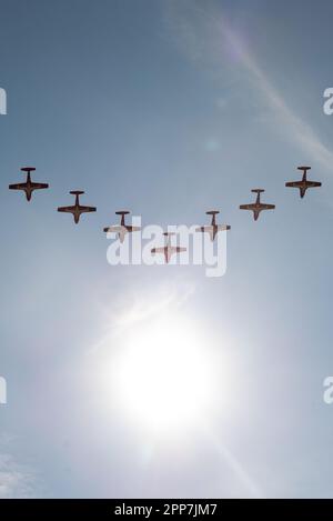 Toronto, ONTARIO, Kanada – 2. September 2017: Die Canadian Forces Snowbirds treten auf der Canadian International Air Show 2021 in Toronto auf Stockfoto