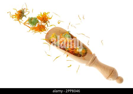 Holzschaufel getrockneter Kalendula-Blüten, isoliert. Blütenblätter der Kalendula-Blüten. Draufsicht. Stockfoto