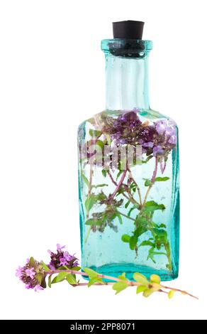 Klassische Flasche Thymianöl oder Infusion und Thymus serpyllum Blume, isoliert. Selektiver Fokus. Alternative pflanzliche Medizin. Stockfoto