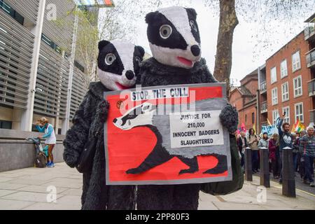 London, Großbritannien. 22. April 2023 Demonstranten, die gegen die Dachskultur sind, stehen vor dem Innenministerium, das auch Defra beherbergt. Tausende von Menschen marschierten durch Westminster, um gegen die Zerstörung der Natur, den Verlust der Artenvielfalt und den Klimawandel am Tag der Erde und am zweiten Tag des viertägigen Protests zu protestieren, der von der Extinction Rebellion und zahlreichen anderen Gruppen organisiert wurde. Kredit: Vuk Valcic/Alamy Live News Stockfoto