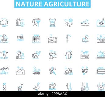 Lineare Symbole für Naturlandwirtschaft. Boden, Saatgut, Ernte, Düngemittel, Bewässerung, Vektor- und Konzeptschilder für Anbau, Viehzuchtlinie. Organisch Stock Vektor