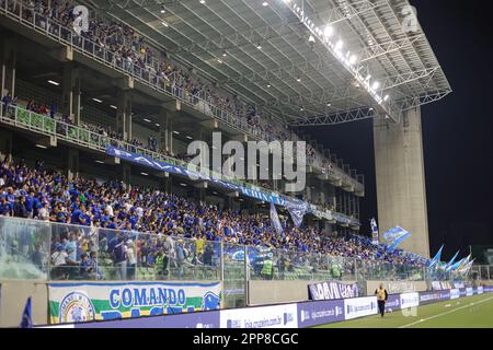 Belo Horizonte, Brasilien. 22. April 2023. MG - BELO HORIZONTE - 04/22/2023 - BRAZILEIRO A 2023, CRUZEIRO X GREMIO - Cruzeiro Fans während eines Spiels gegen Gremio im Independencia Stadion für DIE BRASILIANISCHE A 2023 Meisterschaft. Foto: Gilson Junio/AGIF/Sipa USA Kredit: SIPA USA/Alamy Live News Stockfoto