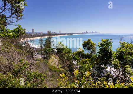 Blick vom Burleigh Heads National Park an einem sonnigen Sommertag mit Blick auf Burleigh Beach und Surfer's Paradise, Gold Coast, Queensland, Australien Stockfoto
