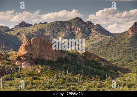 Malerischer Landschaftsblick entlang des historischen Apache Trail nach Tortilla Flat, Tonto National Forest, Apache Junction, Mesa, Arizona, USA Stockfoto