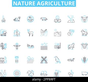 Lineare Symbole für Naturlandwirtschaft. Boden, Saatgut, Ernte, Düngemittel, Bewässerung, Vektor- und Konzeptschilder für Anbau, Viehzuchtlinie. Organisch Stock Vektor