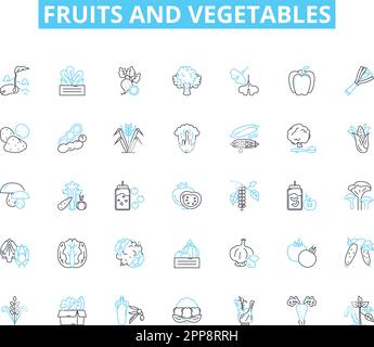 Lineare Symbole für Obst und Gemüse eingestellt. Äpfel, Orangen, Bananen, Kiwis, Trauben, Vektor- und Konzeptzeichen für Birnen, Ananas. Wassermelone, Cantaloupe Stock Vektor