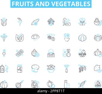 Lineare Symbole für Obst und Gemüse eingestellt. Äpfel, Orangen, Bananen, Kiwis, Trauben, Vektor- und Konzeptzeichen für Birnen, Ananas. Wassermelone, Cantaloupe Stock Vektor