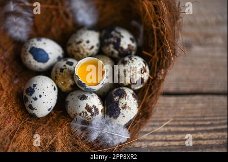 Wachteleier auf Vogelnest, frische Wachteleier und Federn auf Holztischhintergrund, rohe Eier mit geschälter Eierschale Stockfoto