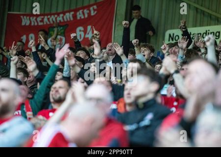 Wrexham, Wrexham County Borough, Wales. 22. April 2023 Wrexham-Fans sprechen während des Wrexham Association Football Club V Boreham Wood Football Club auf dem Rennplatz in der Vanarama National League. (Bild: ©Cody Froggatt/Alamy Live News) Stockfoto