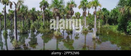 Wunderschöne Lagoa das Araras bei Sonnenuntergang mit Spiegelreflexionen, Bom Jardim, Mato Grosso, Brasilien Stockfoto