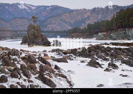 Einsamer Kiefernbaum auf Felsen am Altai-Fluss Katun im Winter. Steine genannt Drachenzähne, Drachenkamm oder Sartakpai Pfeile. Die Brücke über den Fluss ist auf dem Rücksitz Stockfoto