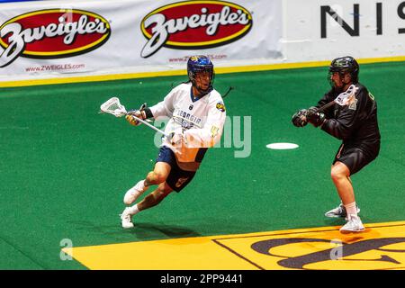 22. April 2023: Georgia Swarm Forward Lyle Thompson (4) läuft mit dem Ball im ersten Quartal gegen die Rochester Knighthawks. Die Rochester Knighthawks waren Gastgeber des Georgia Swarm bei einem Spiel der National Lacrosse League in der Blue Cross Arena in Rochester, New York. (Jonathan Tenca/CSM) Stockfoto