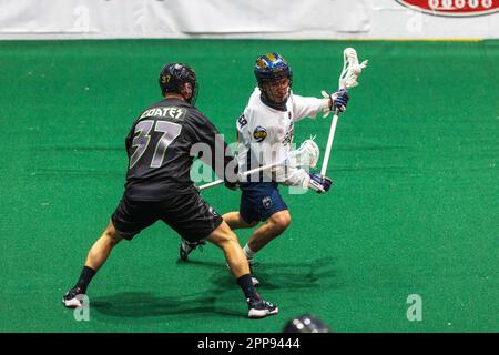 22. April 2023: Georgia Swarm Forward Teioshontathe McComber (19) läuft mit dem Ball im ersten Quartal gegen die Rochester Knighthawks. Die Rochester Knighthawks waren Gastgeber des Georgia Swarm bei einem Spiel der National Lacrosse League in der Blue Cross Arena in Rochester, New York. (Jonathan Tenca/CSM) Stockfoto