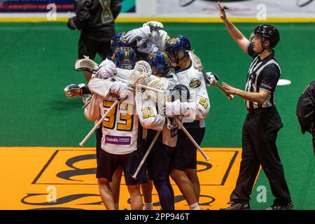 22. April 2023: Georgia Swarm-Spieler feiern nach einem Tor im ersten Quartal gegen die Rochester Knighthawks. Die Rochester Knighthawks waren Gastgeber des Georgia Swarm bei einem Spiel der National Lacrosse League in der Blue Cross Arena in Rochester, New York. (Jonathan Tenca/CSM) Stockfoto