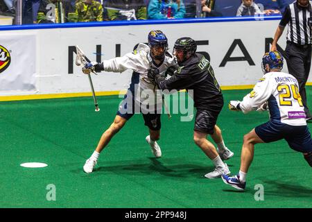 22. April 2023: Georgia Swarm Forward Lyle Thompson (4) läuft mit dem Ball im ersten Quartal gegen die Rochester Knighthawks. Die Rochester Knighthawks waren Gastgeber des Georgia Swarm bei einem Spiel der National Lacrosse League in der Blue Cross Arena in Rochester, New York. (Jonathan Tenca/CSM) Stockfoto