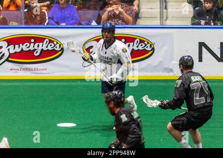 22. April 2023: Georgia Swarm Forward Lyle Thompson (4) läuft mit dem Ball im ersten Quartal gegen die Rochester Knighthawks. Die Rochester Knighthawks waren Gastgeber des Georgia Swarm bei einem Spiel der National Lacrosse League in der Blue Cross Arena in Rochester, New York. (Jonathan Tenca/CSM) Stockfoto