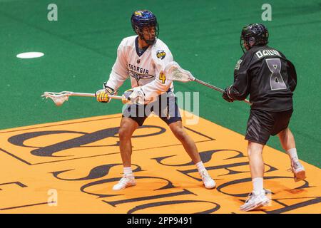 22. April 2023: Georgia Swarm Forward Lyle Thompson (4) läuft mit dem Ball im ersten Quartal gegen die Rochester Knighthawks. Die Rochester Knighthawks waren Gastgeber des Georgia Swarm bei einem Spiel der National Lacrosse League in der Blue Cross Arena in Rochester, New York. (Jonathan Tenca/CSM) Stockfoto