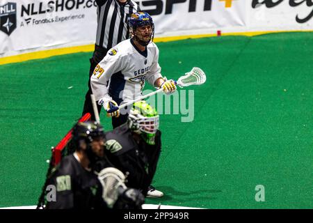 22. April 2023: Georgia Swarm Verteidiger Adam Wiedemann (27) läuft im ersten Quartal gegen die Rochester Knighthawks. Die Rochester Knighthawks waren Gastgeber des Georgia Swarm bei einem Spiel der National Lacrosse League in der Blue Cross Arena in Rochester, New York. (Jonathan Tenca/CSM) Stockfoto