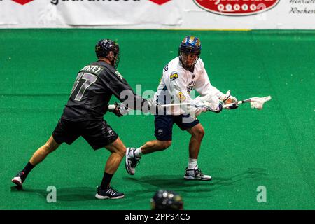 22. April 2023: Georgia Swarm Forward Teioshontathe McComber (19) läuft mit dem Ball im ersten Quartal gegen die Rochester Knighthawks. Die Rochester Knighthawks waren Gastgeber des Georgia Swarm bei einem Spiel der National Lacrosse League in der Blue Cross Arena in Rochester, New York. (Jonathan Tenca/CSM) Stockfoto