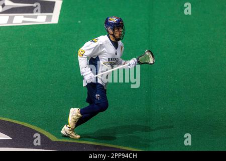 22. April 2023: Georgia Swarm Forward Shayne Jackson (32) läuft im ersten Quartal gegen die Rochester Knighthawks. Die Rochester Knighthawks waren Gastgeber des Georgia Swarm bei einem Spiel der National Lacrosse League in der Blue Cross Arena in Rochester, New York. (Jonathan Tenca/CSM) Stockfoto