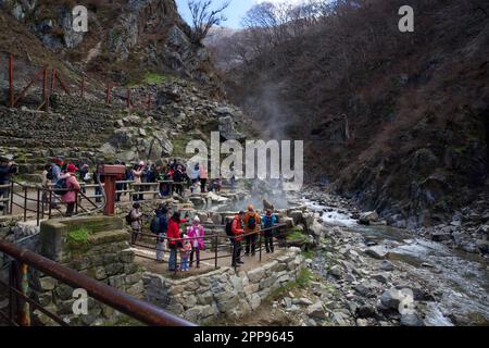 Jigokudani Wild Snow Monkey Park, Nagano Japan Stockfoto