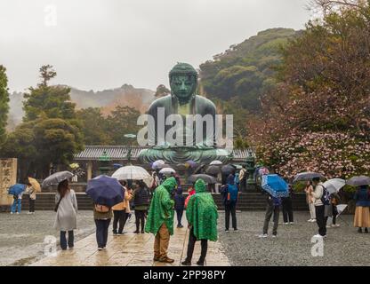 Kamakura, Japan - 23. März 2023: Kotoku-in-Tempel, großer Buddha von Kamakura, Japan Stockfoto